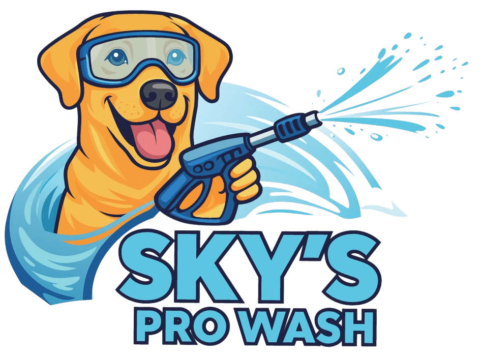 skys logo no bg